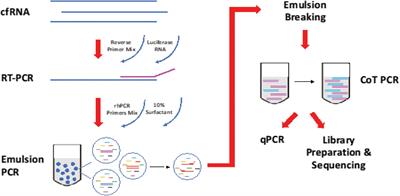 A Multiplex Thyroid-Specific Assay for Quantification of Circulating Thyroid Cell-Free RNA in Plasma of Thyroid Cancer Patients